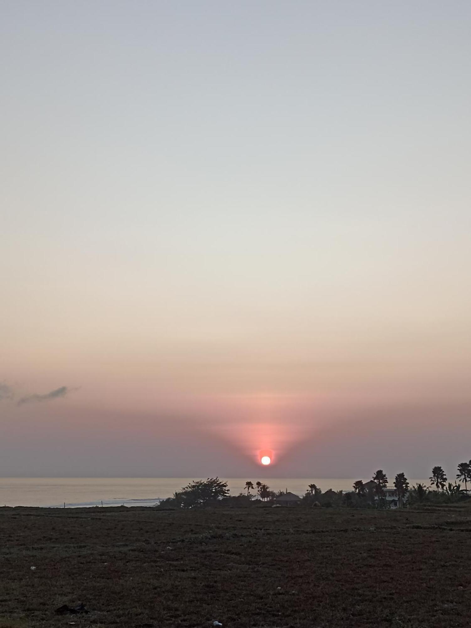 Jembrana Ayolah Surf House &Surf Camp 아파트 외부 사진