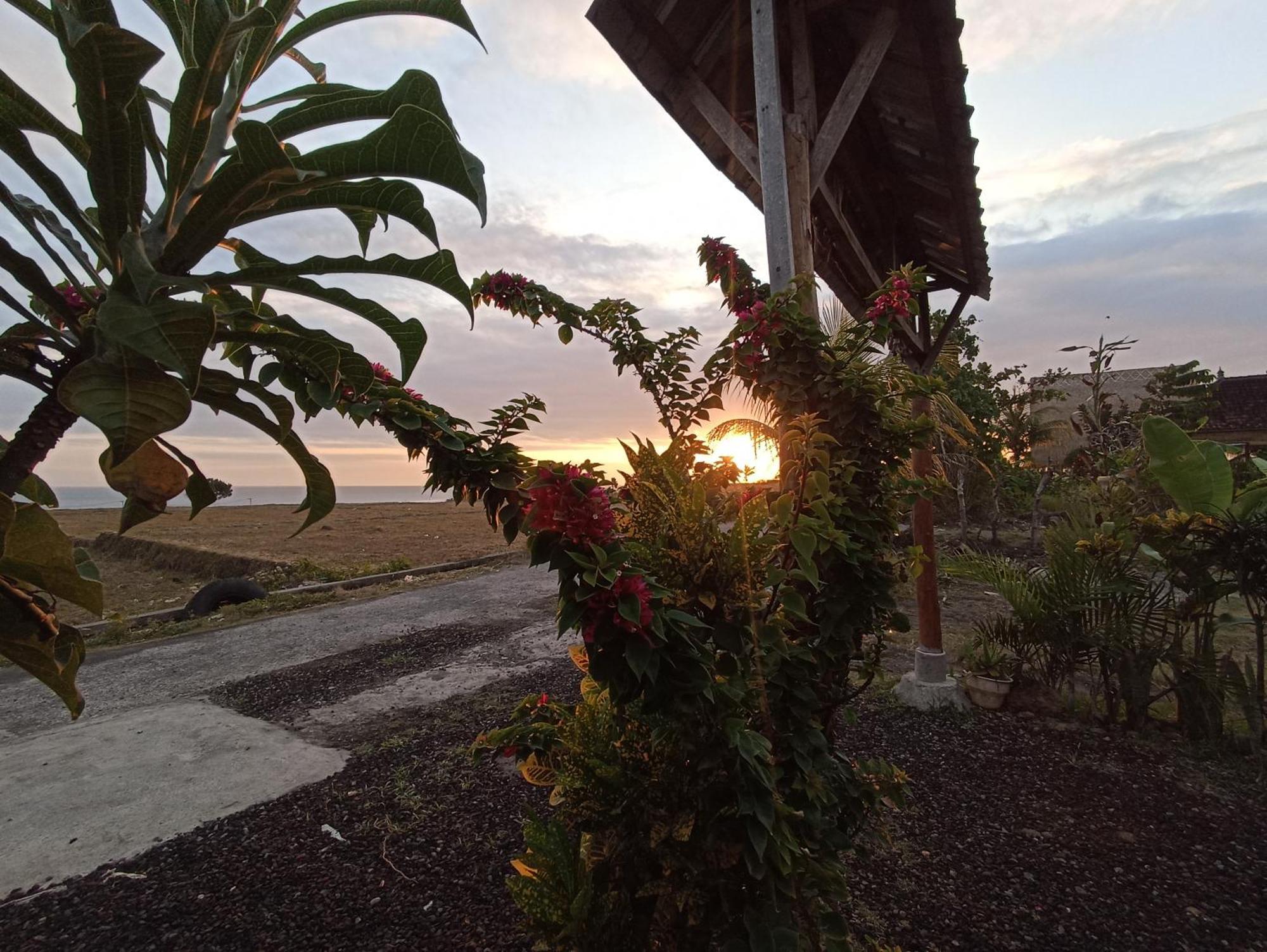 Jembrana Ayolah Surf House &Surf Camp 아파트 외부 사진
