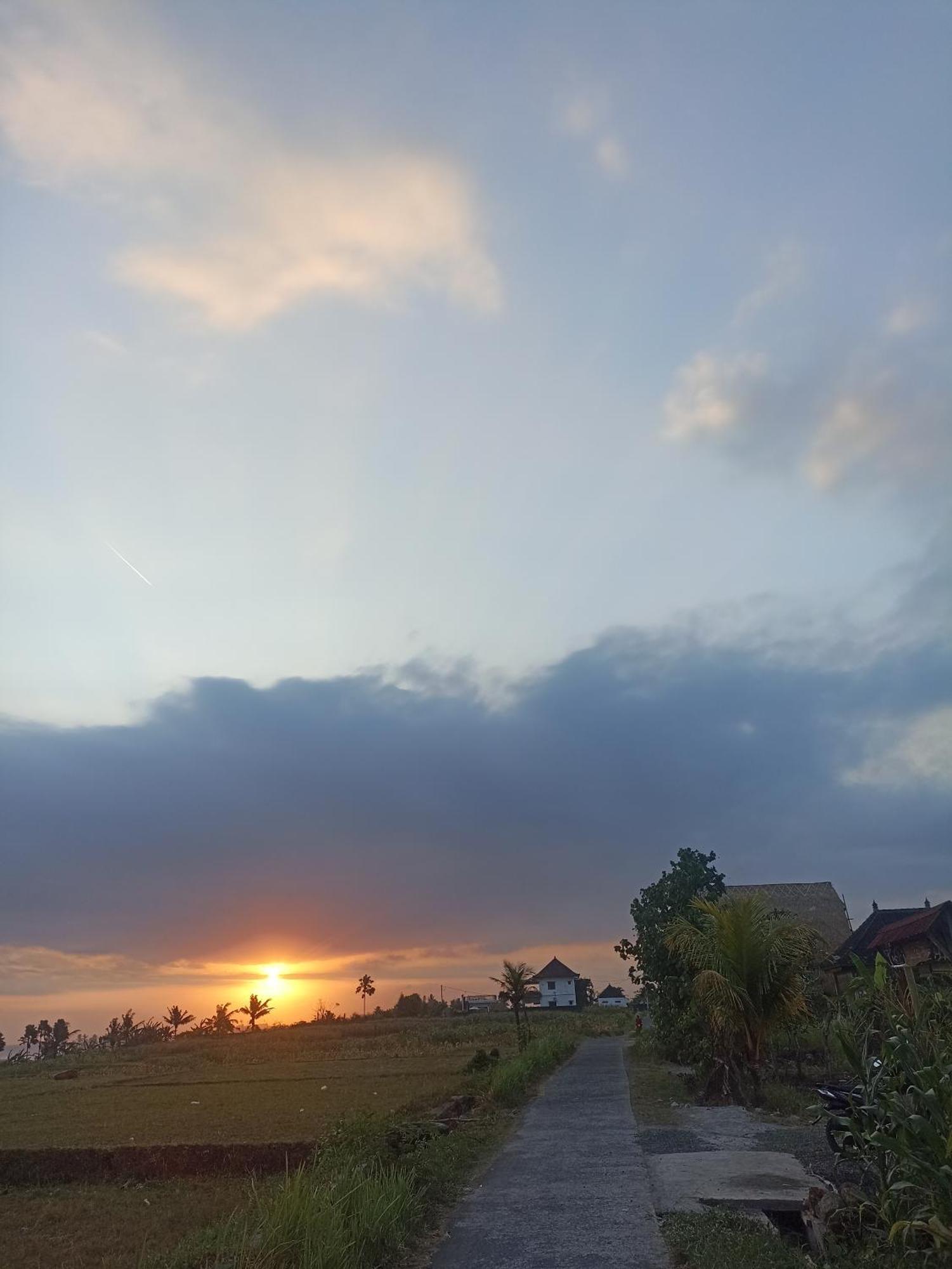 Jembrana Ayolah Surf House &Surf Camp 아파트 외부 사진