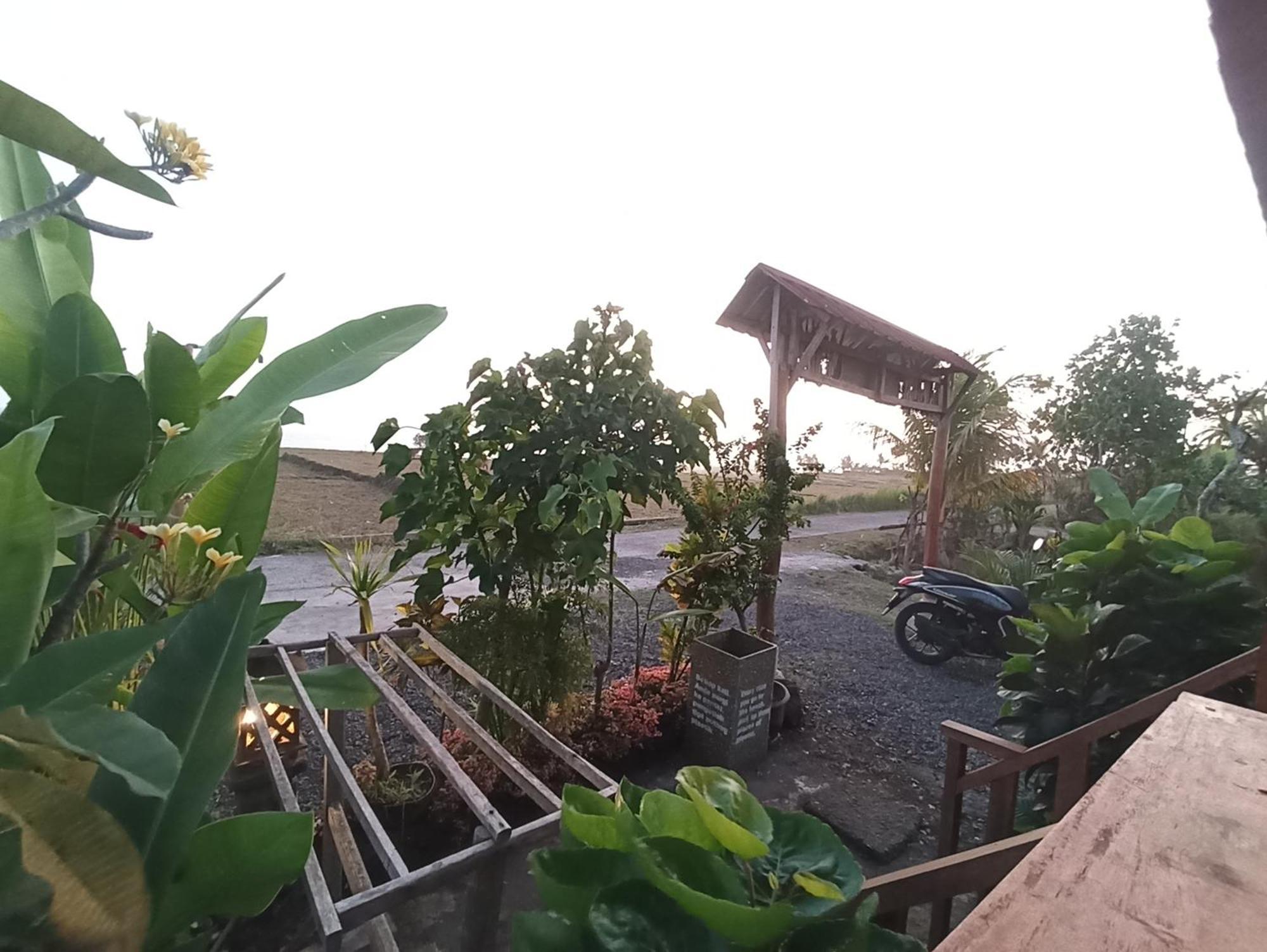 Jembrana Ayolah Surf House &Surf Camp 아파트 외부 사진