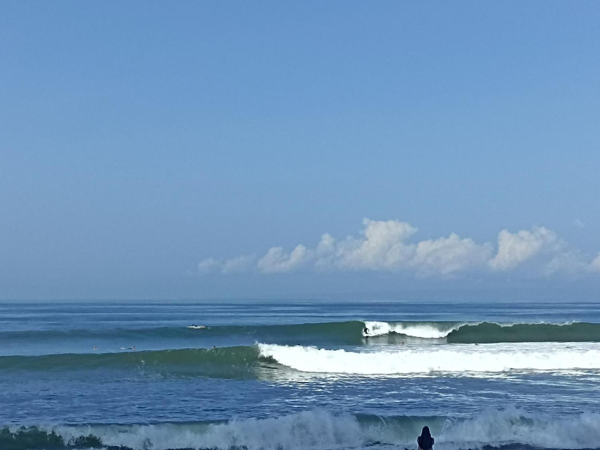 Jembrana Ayolah Surf House &Surf Camp 아파트 외부 사진