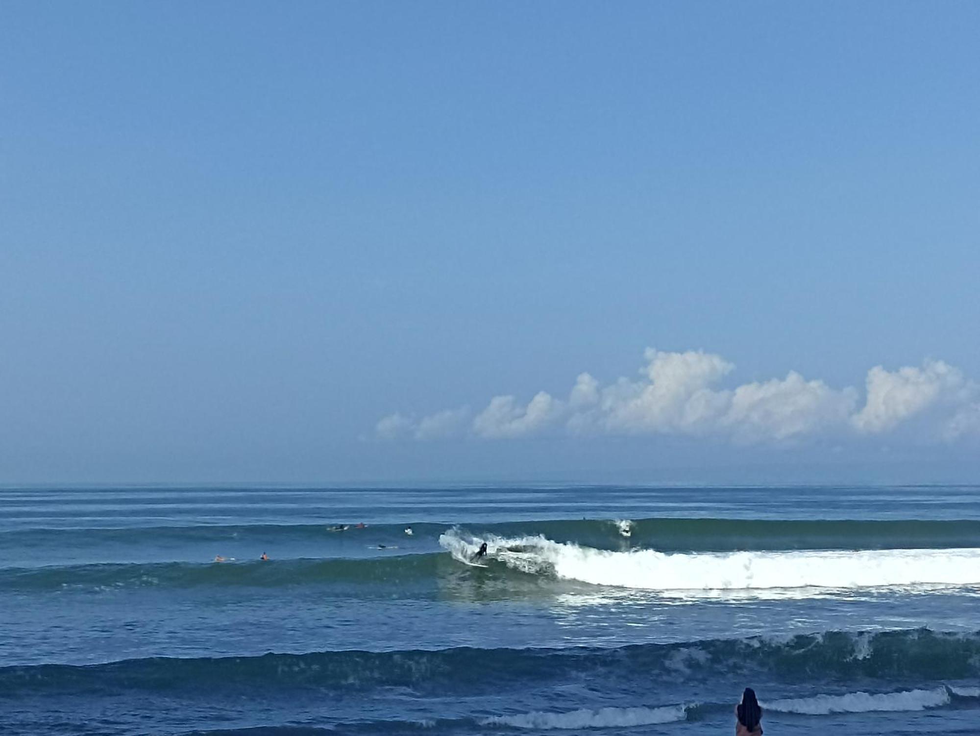 Jembrana Ayolah Surf House &Surf Camp 아파트 외부 사진