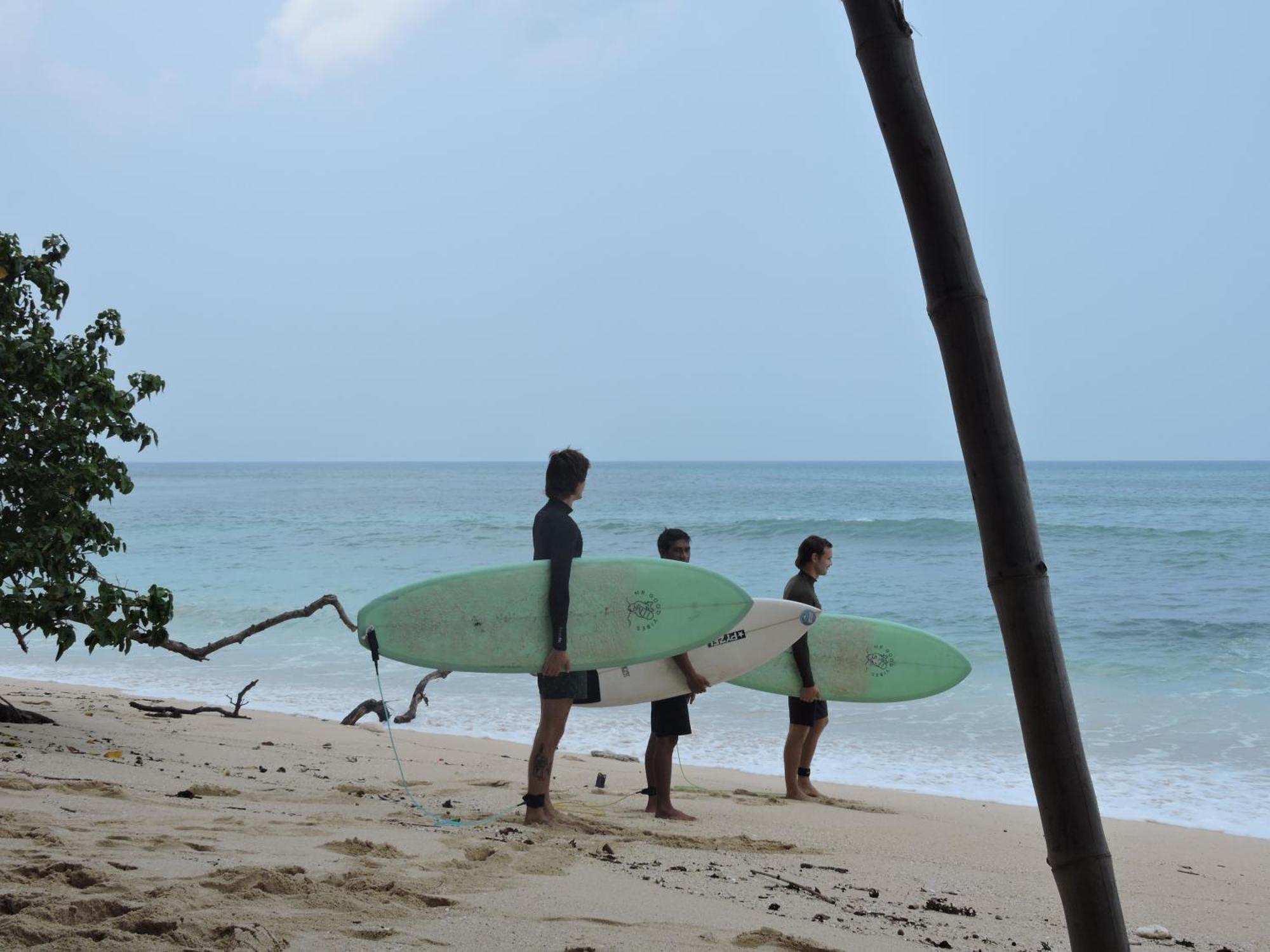 Jembrana Ayolah Surf House &Surf Camp 아파트 외부 사진